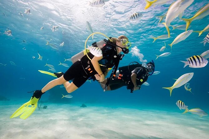 Full Day Scuba Diving Adventure Tour with Lunch at Hurgada