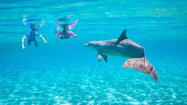 10 Days (Cairo – Nile Cruise - Hurghada)