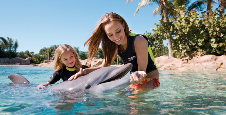 Dolphin Full Day Snorkeling Tour From Hurghada