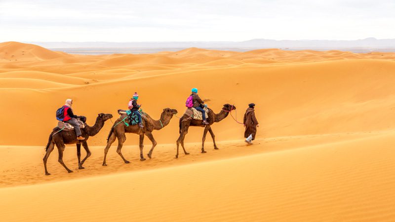 Sunset Safari trip by Quad Bike Hurghada