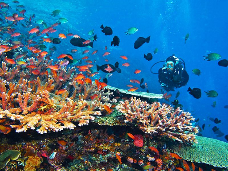 Snorkeling at Giftun Island in Hurghada