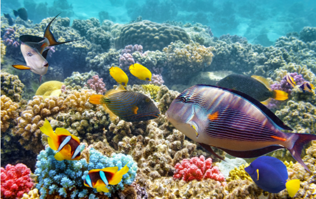 Hurghada