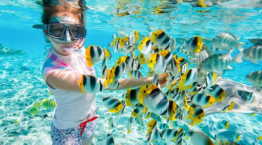 Snorkeling at Mahmya Island from Hurghada