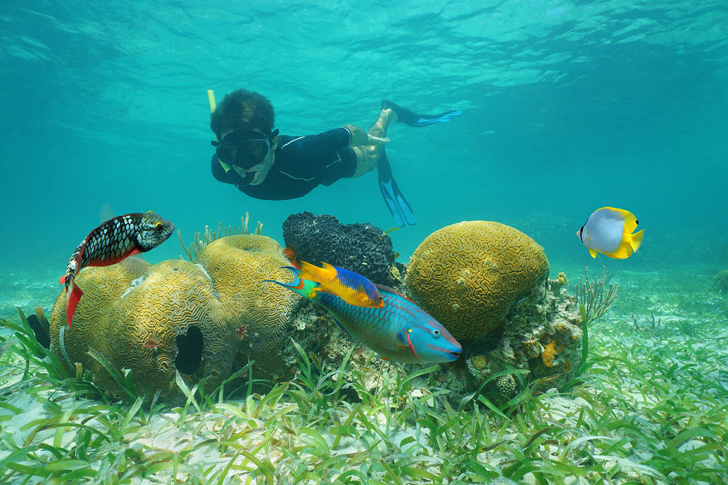 Day excursion Snorkeling in Taba
