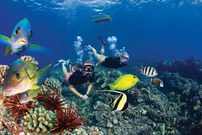 Day excursion Snorkeling in Taba