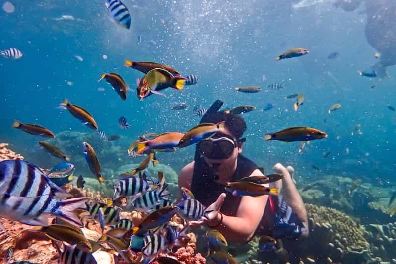 Snorkeling Trip from Safaga Port to Hurghada