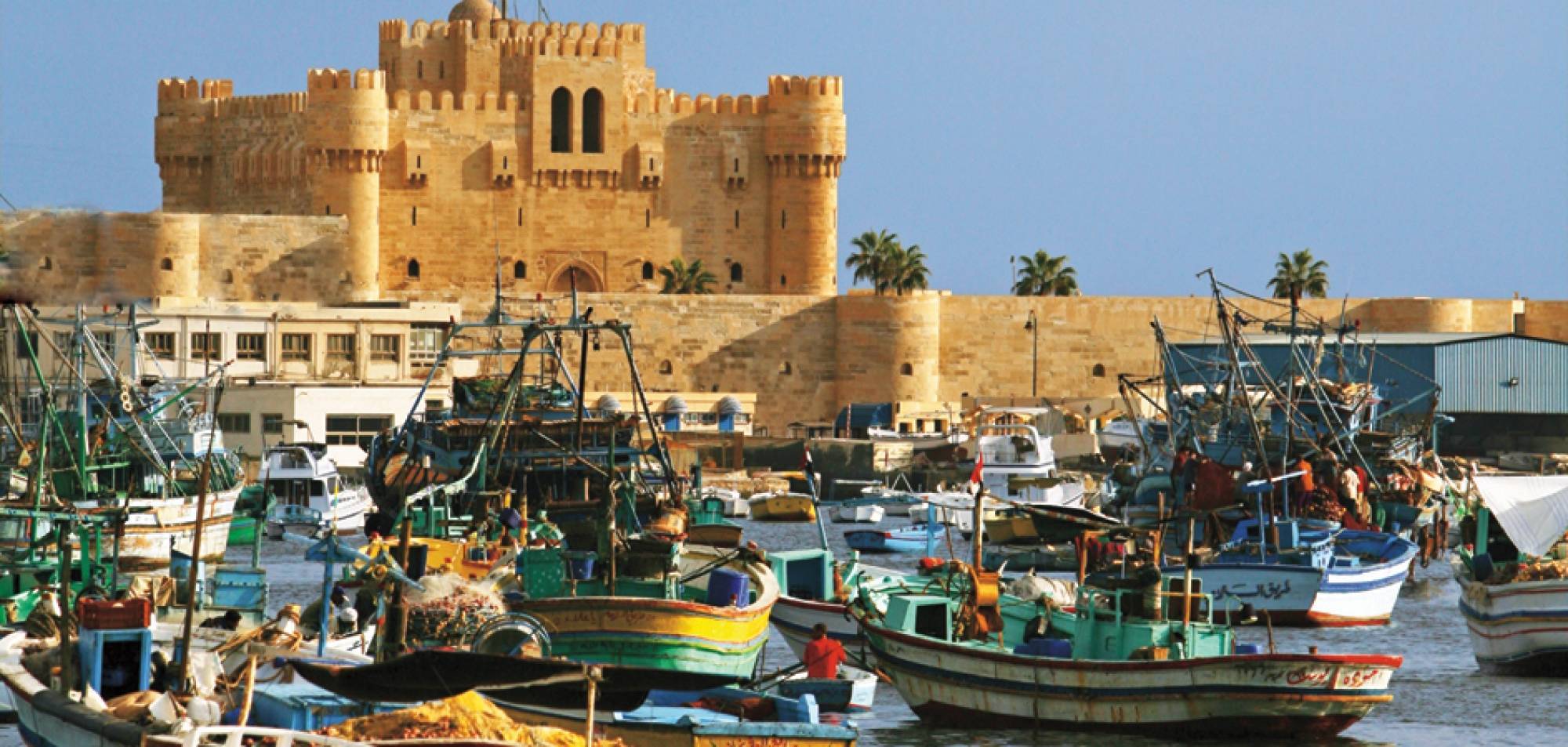 Alexandria Day Tour from Alexandria Port