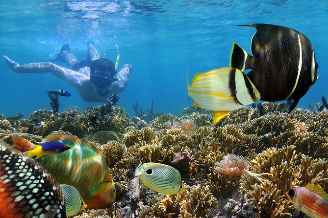 Snorkeling Trip from Safaga Port to Hurghada