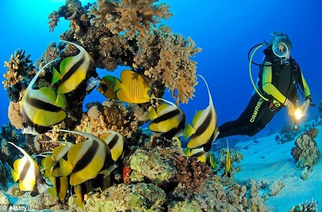 Egypt Luxury Honeymoon Vacation