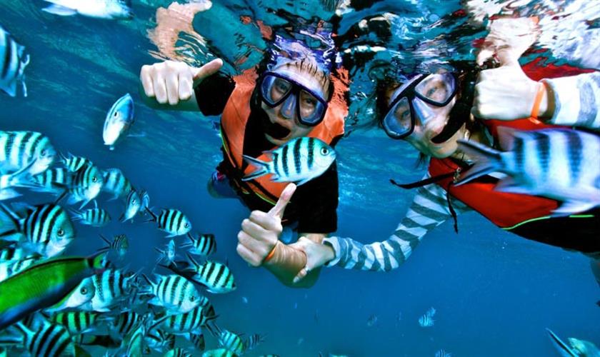 Snorkeling Trip from Safaga Port to Hurghada