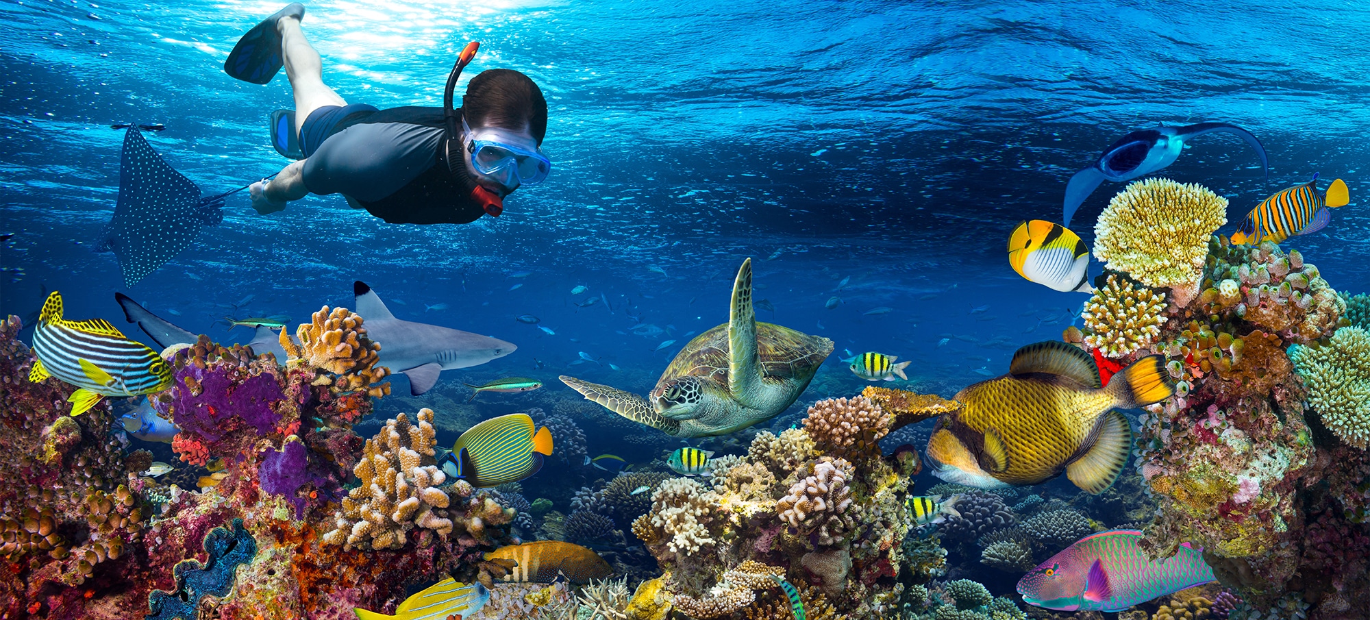 Snorkeling Trip from Safaga Port to Hurghada