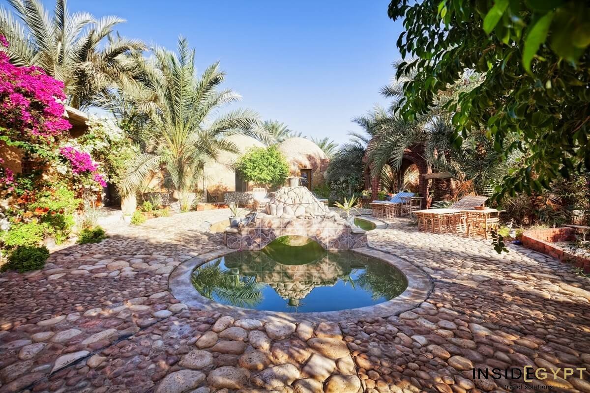 Siwa Oasis 5 day short break