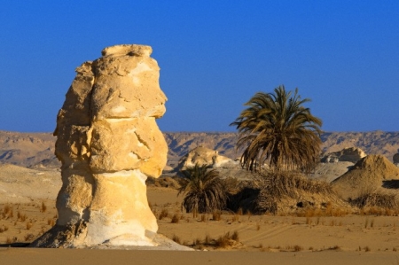 Pyramids, Nile Cruise and Oasis Desert