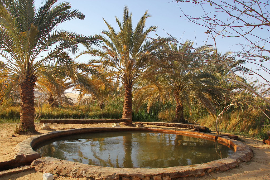 Siwa Oasis 5 day short break