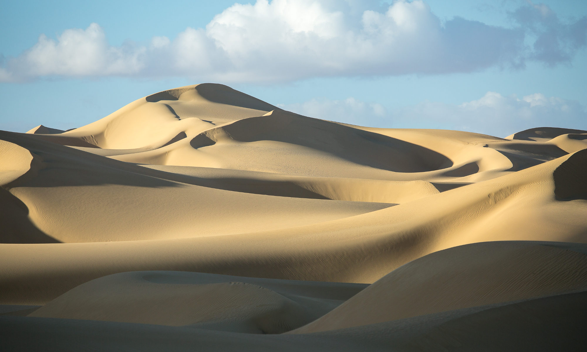Great Sand Sea Tour